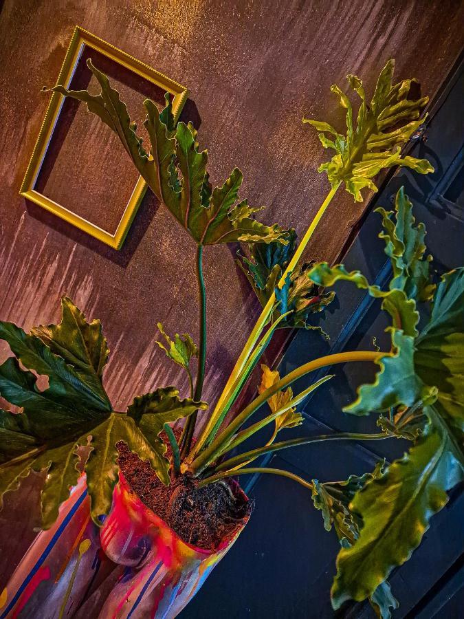 Urban Hostal Bar 부카라망가 외부 사진