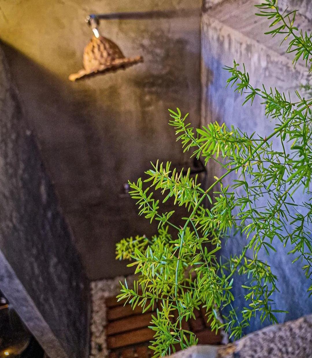 Urban Hostal Bar 부카라망가 외부 사진